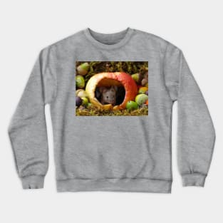 wild house mouse  in a apple Crewneck Sweatshirt